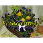 persoenliche Ostergrusskarte 2014 - Frohe_Ostern.jpg